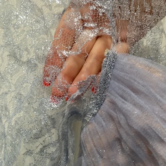 Tarik Ediz 96043 Illusion Long Sleeve Lace Bodice Tulle Mermaid Gown - Picture 9 of 12